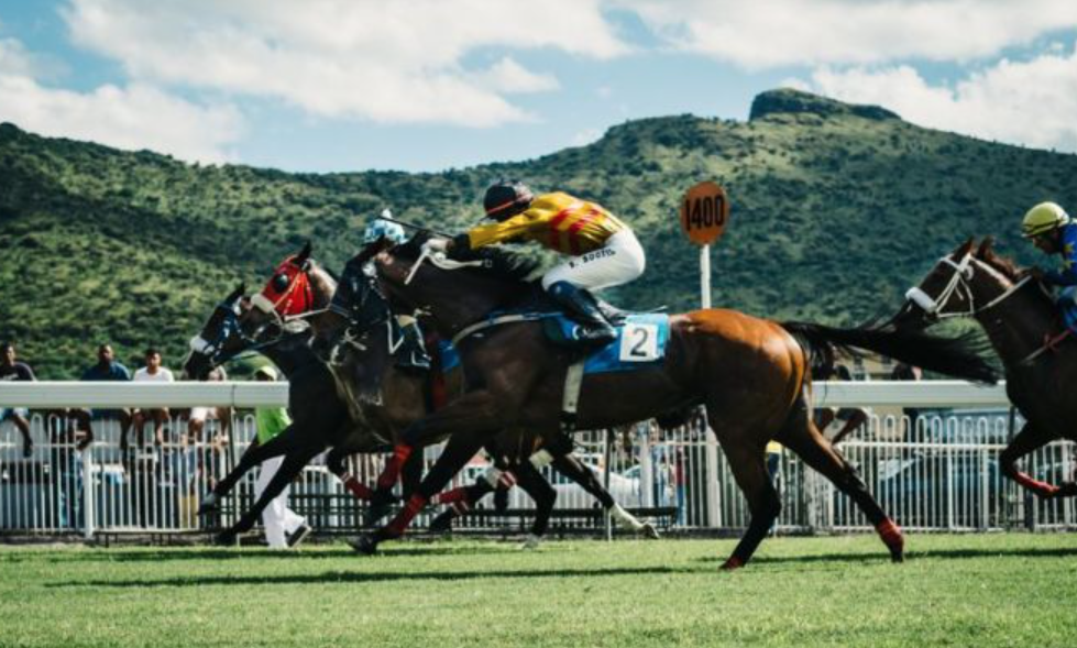 kappacourse || kappa course || kappa turf